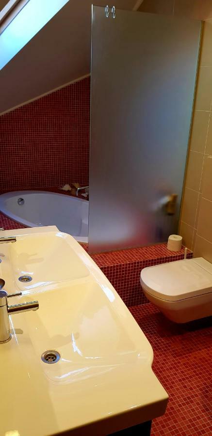 Exceptional Uzupis Bridge 3 Bedroom Apartment VNO Kültér fotó