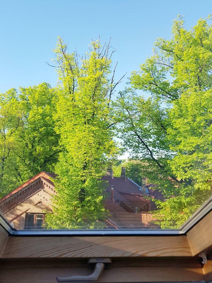 Exceptional Uzupis Bridge 3 Bedroom Apartment VNO Kültér fotó