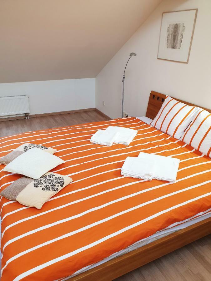 Exceptional Uzupis Bridge 3 Bedroom Apartment VNO Kültér fotó